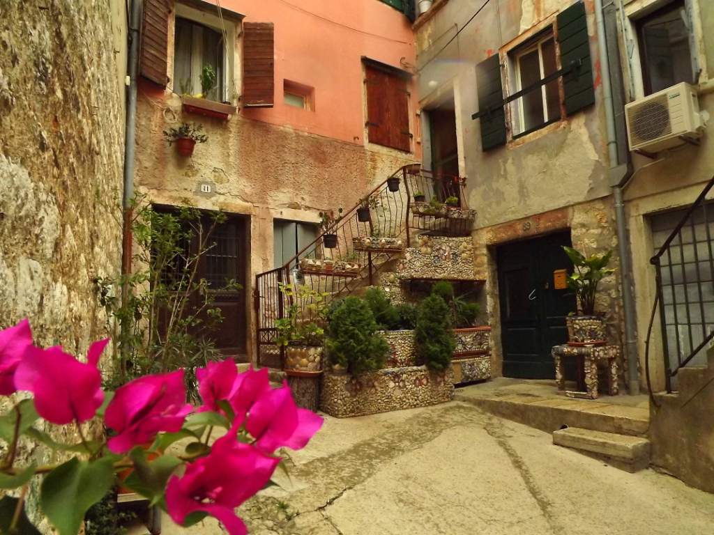 326 / DSCF8725.JPG DSCF8725.JPG