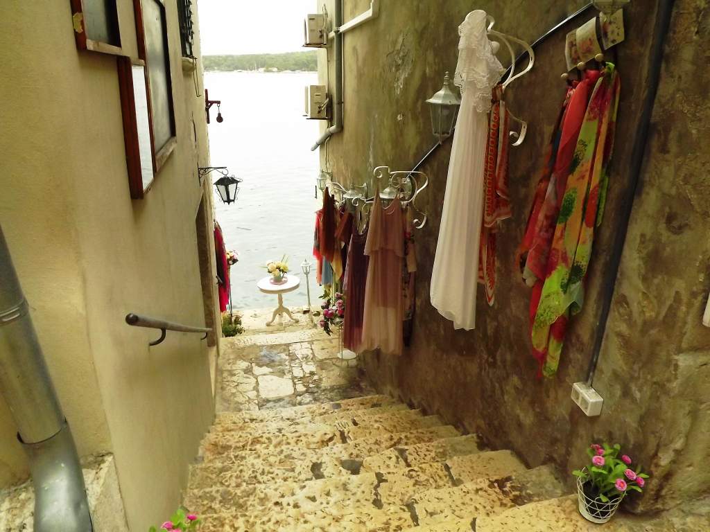 335 / DSCF8753.JPG DSCF8753.JPG