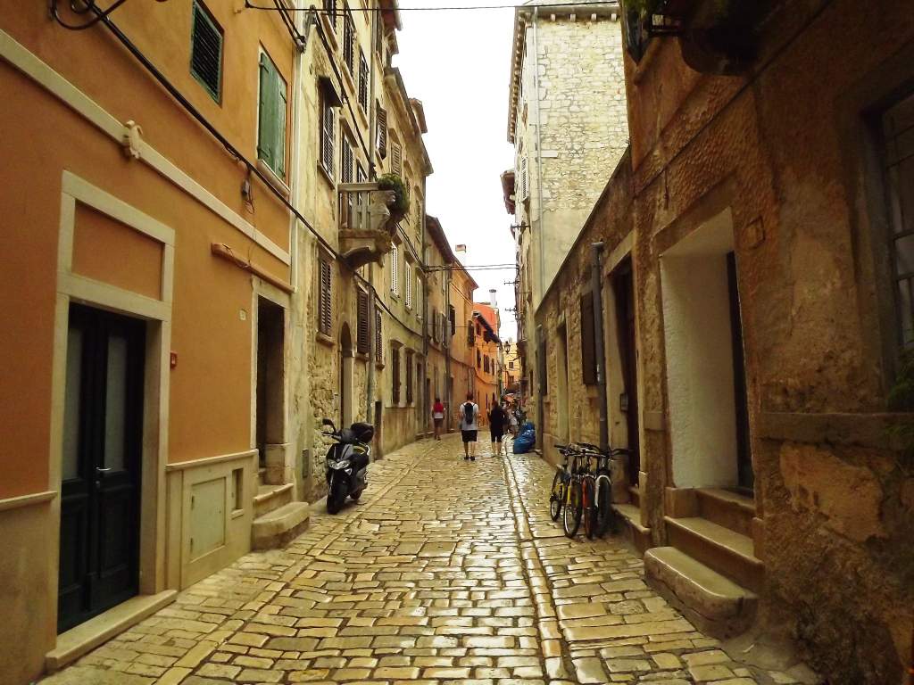 336 / DSCF8754.JPG DSCF8754.JPG