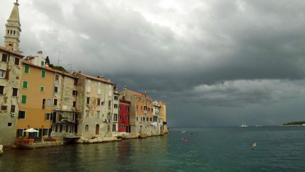 342 / DSCF8764.JPG DSCF8764.JPG