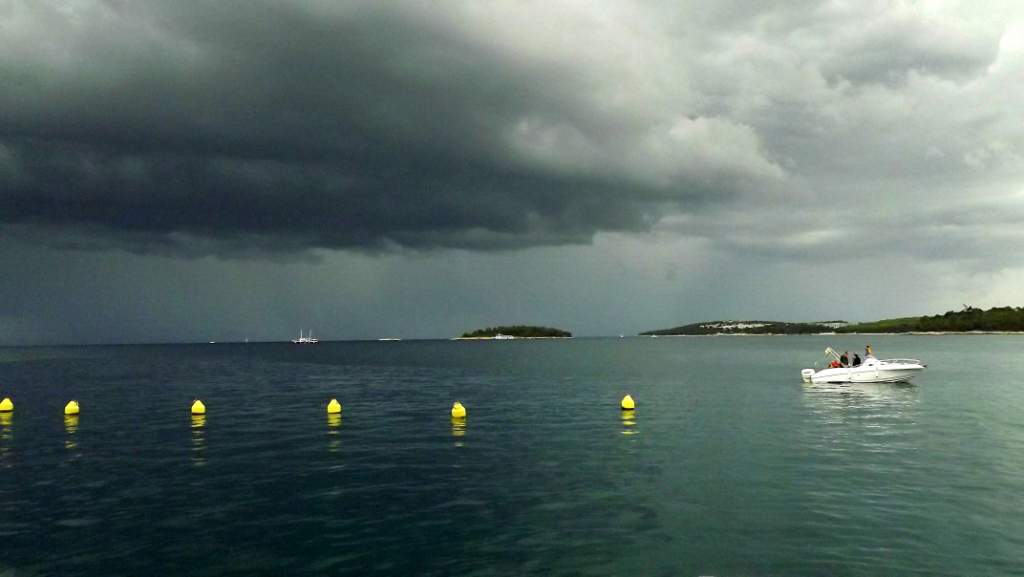 344 / DSCF8772.JPG DSCF8772.JPG