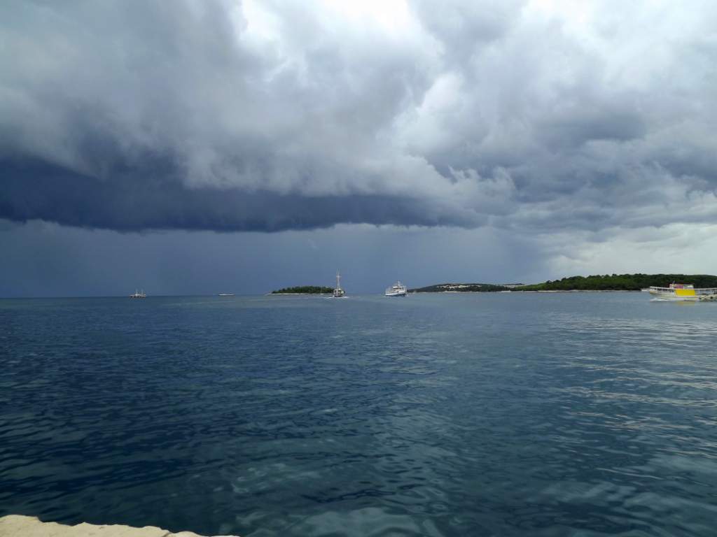 349 / DSCF8784.JPG DSCF8784.JPG