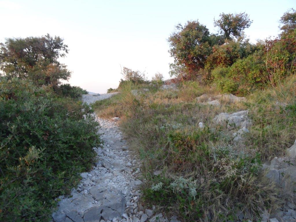 Rogoznica cz 11 074.jpg