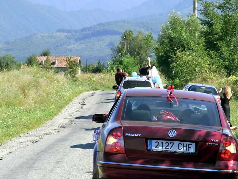 RIMG0011.JPG RIMG0011.JPG