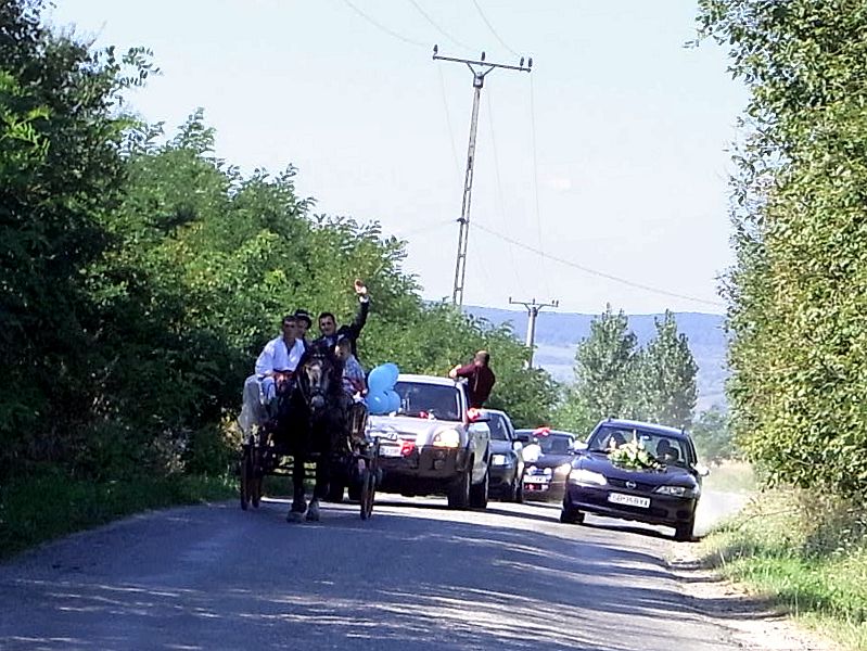 RIMG0014.JPG RIMG0014.JPG