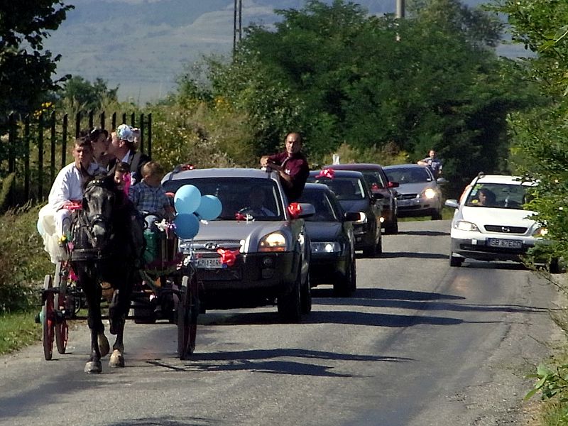 RIMG0016.JPG RIMG0016.JPG