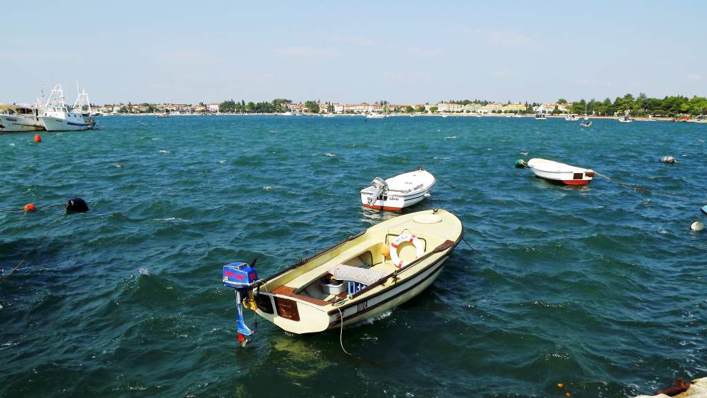 467 / DSCF9102.JPG DSCF9102.JPG