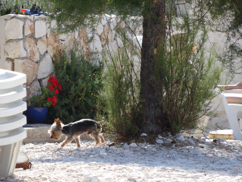 Rogoznica cz 13 (24).jpg