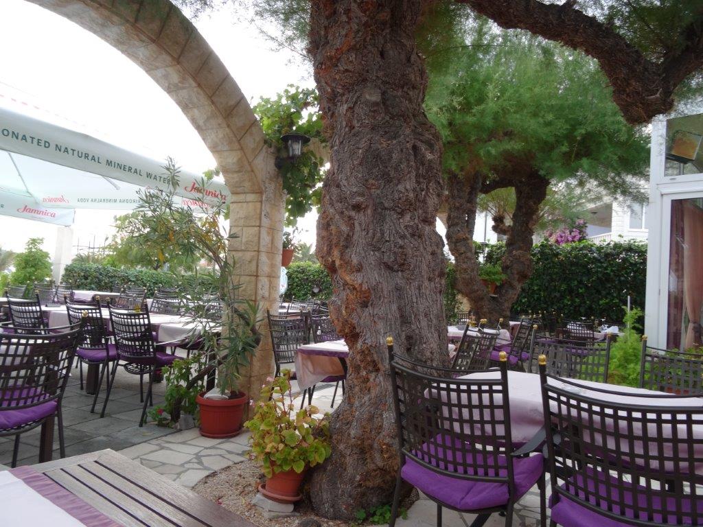 Rogoznica cz 13 (3).jpg