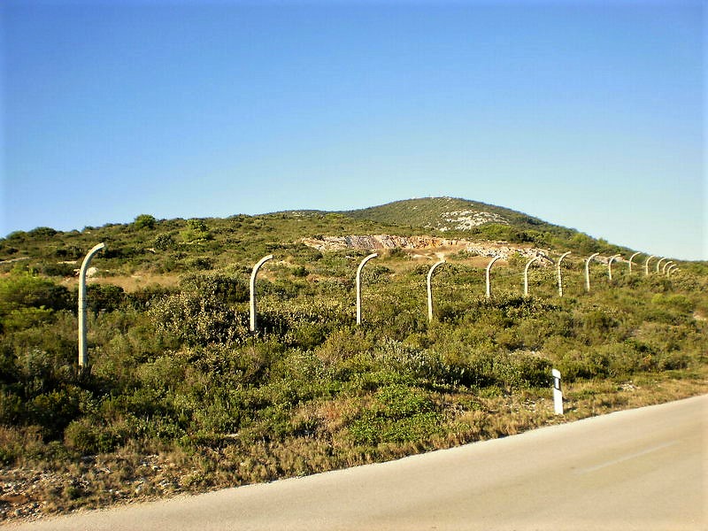 P9071809 — kopia.JPG