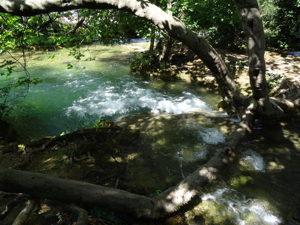 Rogoznica cz 14 039.jpg