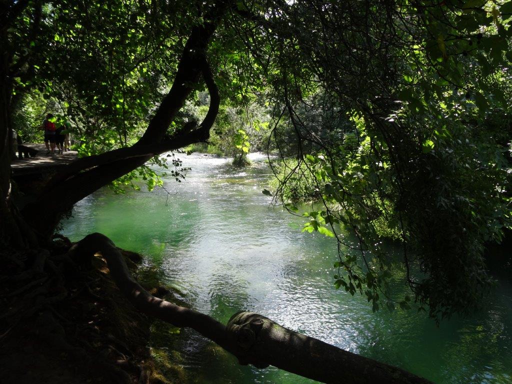 Rogoznica cz 14 041.jpg