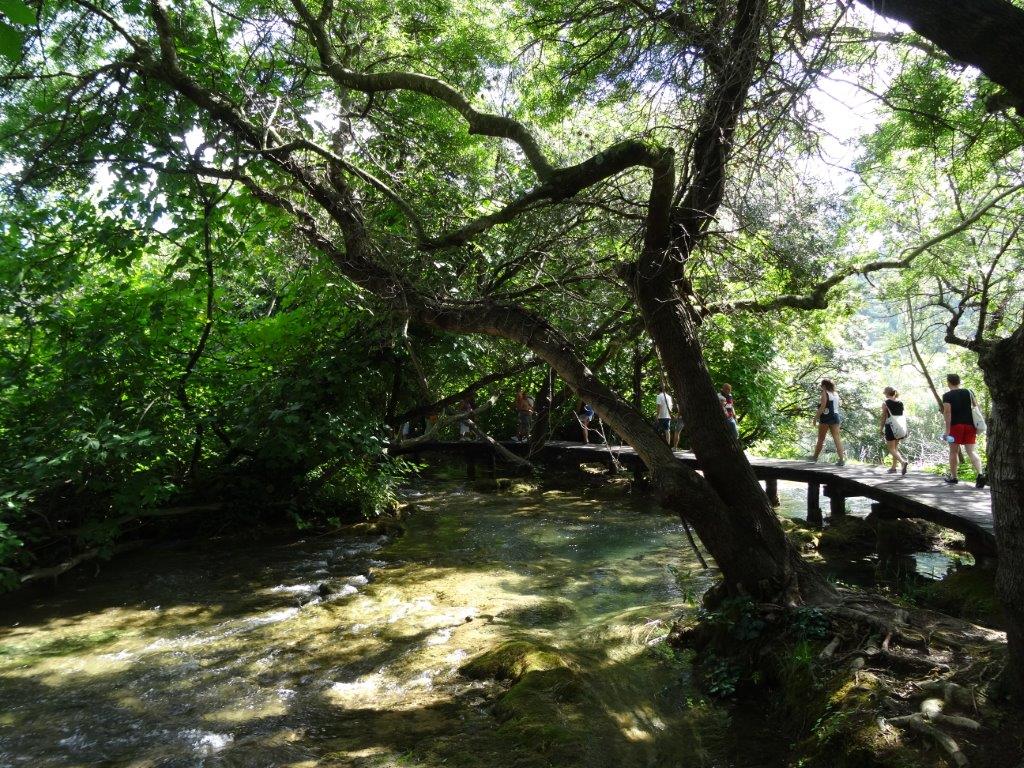 Rogoznica cz 14 042.jpg