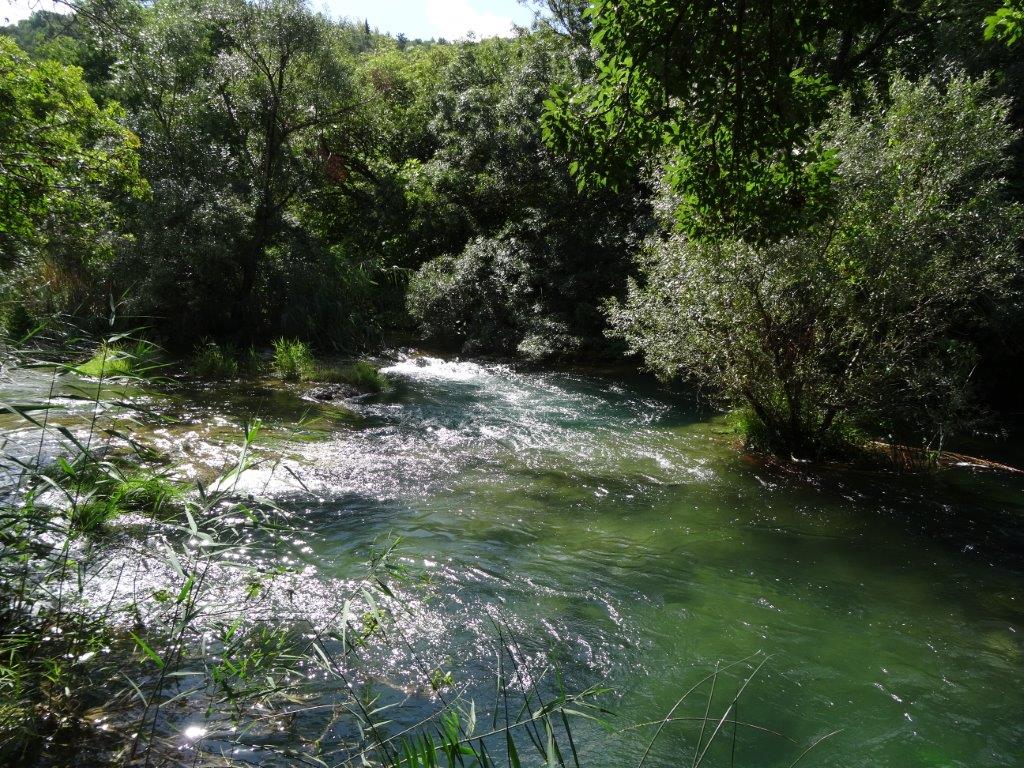 Rogoznica cz 14 043.jpg