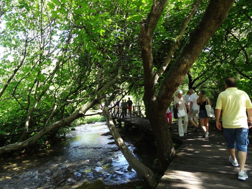 Rogoznica cz 14 044.jpg