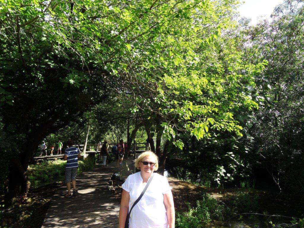 Rogoznica cz 14 051.jpg