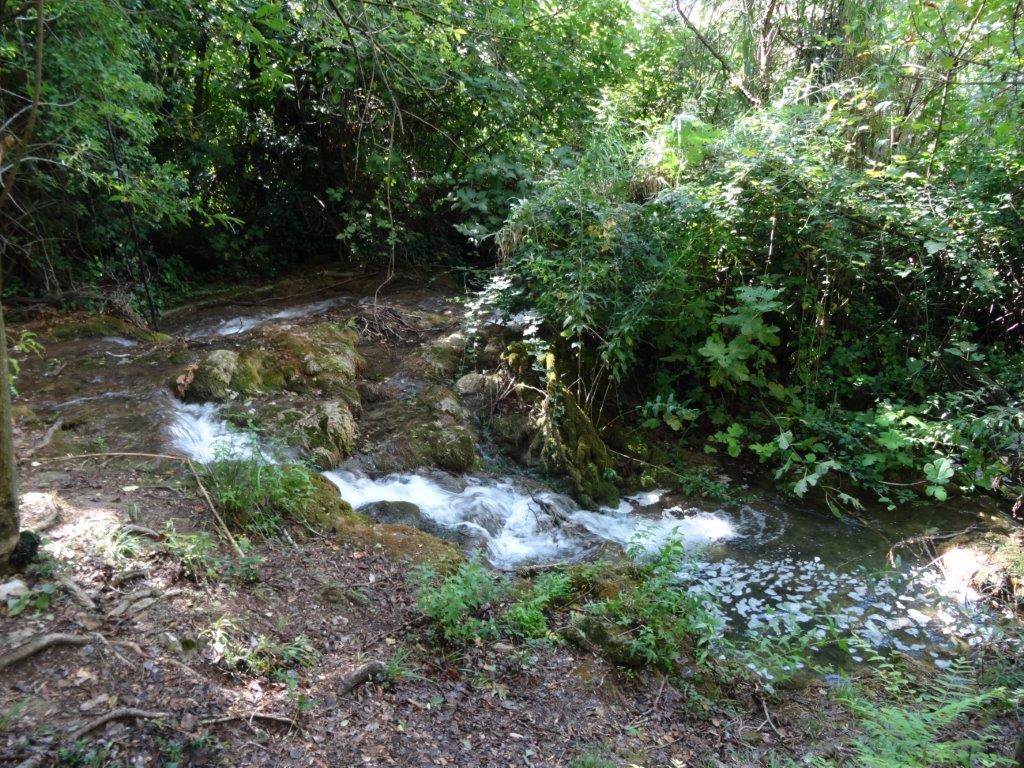 Rogoznica cz 14 063.jpg