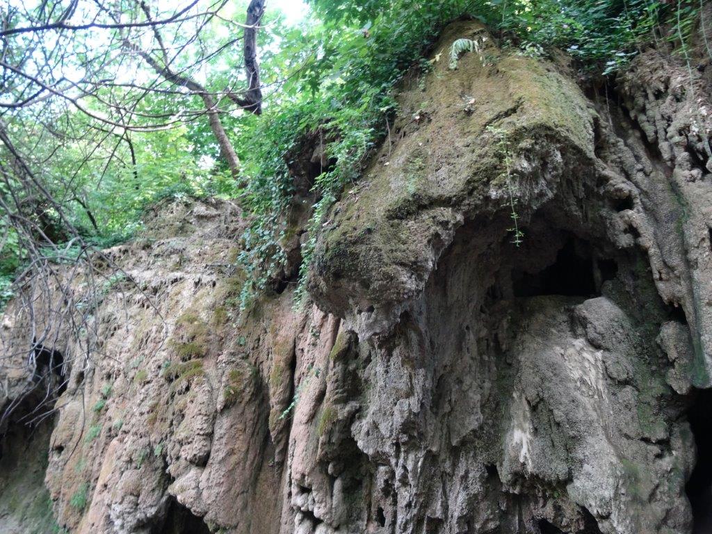 Rogoznica cz 14 082.jpg