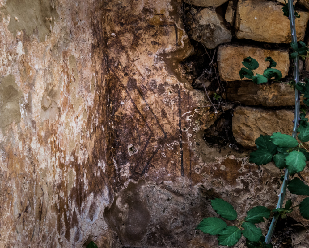 freski w transepcie / DSC_6101.jpg DSC_6101.jpg