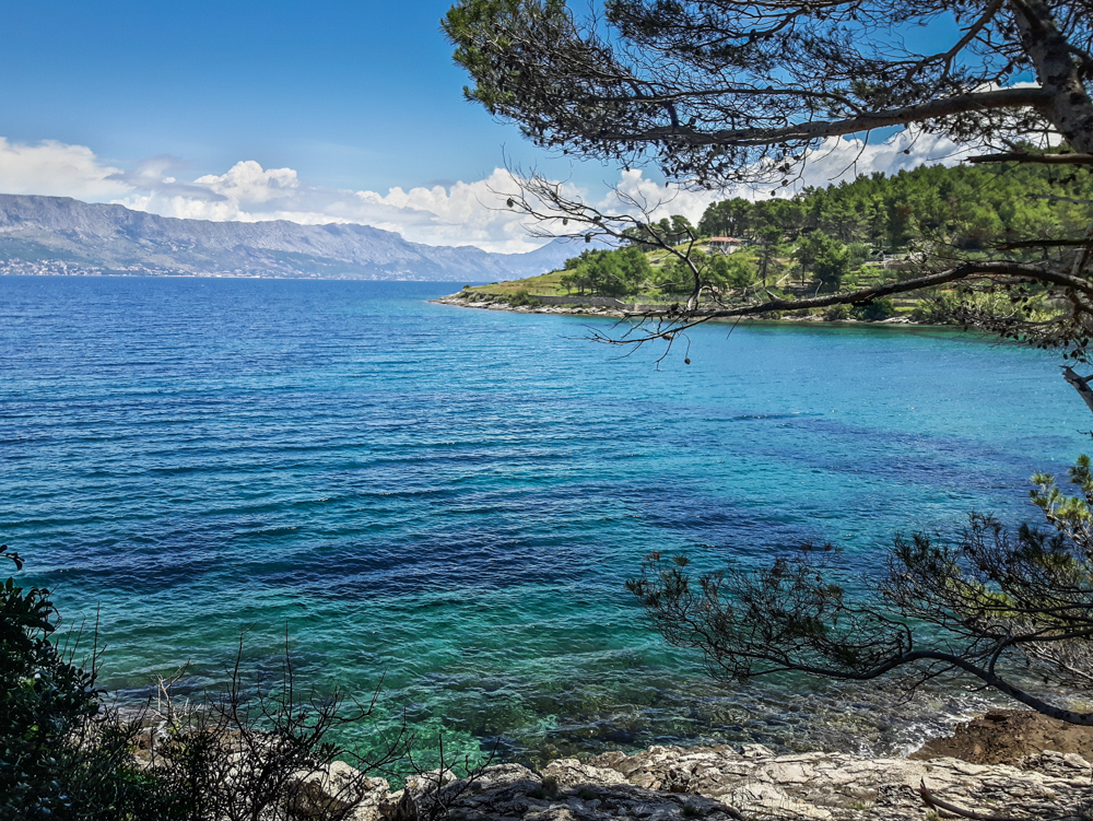 a taki mieliśmy widok w czasie pikniku / DSC_6113a.jpg DSC_6113a.jpg