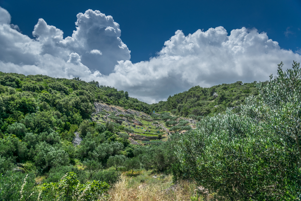 gaje / DSC_6090.jpg DSC_6090.jpg