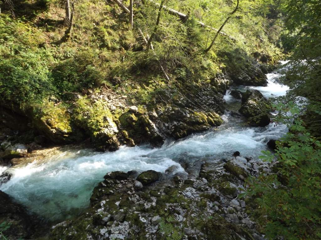 746 / DSCF9656.JPG DSCF9656.JPG