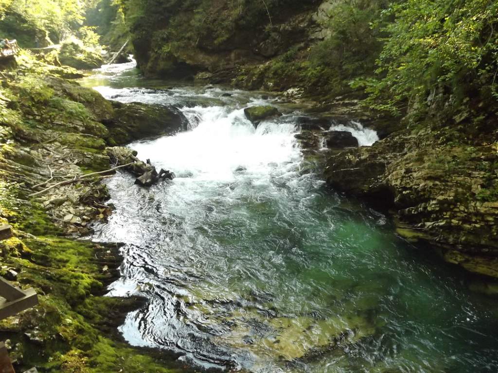 756 / DSCF9684.JPG DSCF9684.JPG