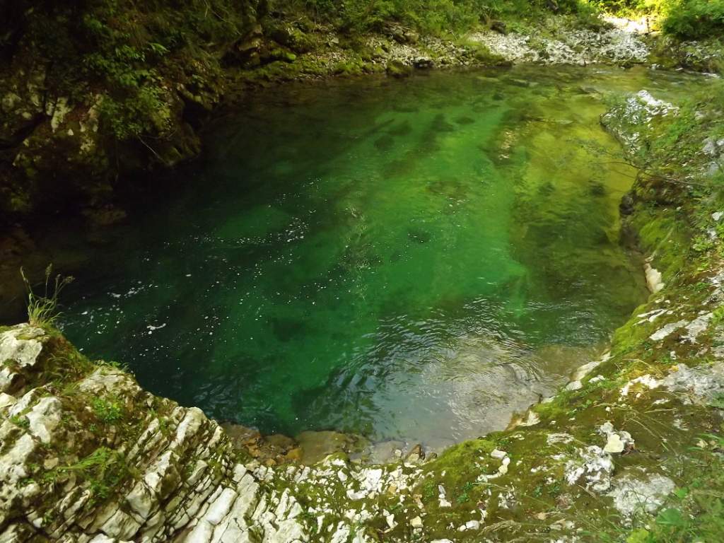 758 / DSCF9687.JPG DSCF9687.JPG