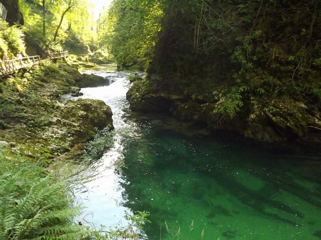 761 / DSCF9692.JPG DSCF9692.JPG