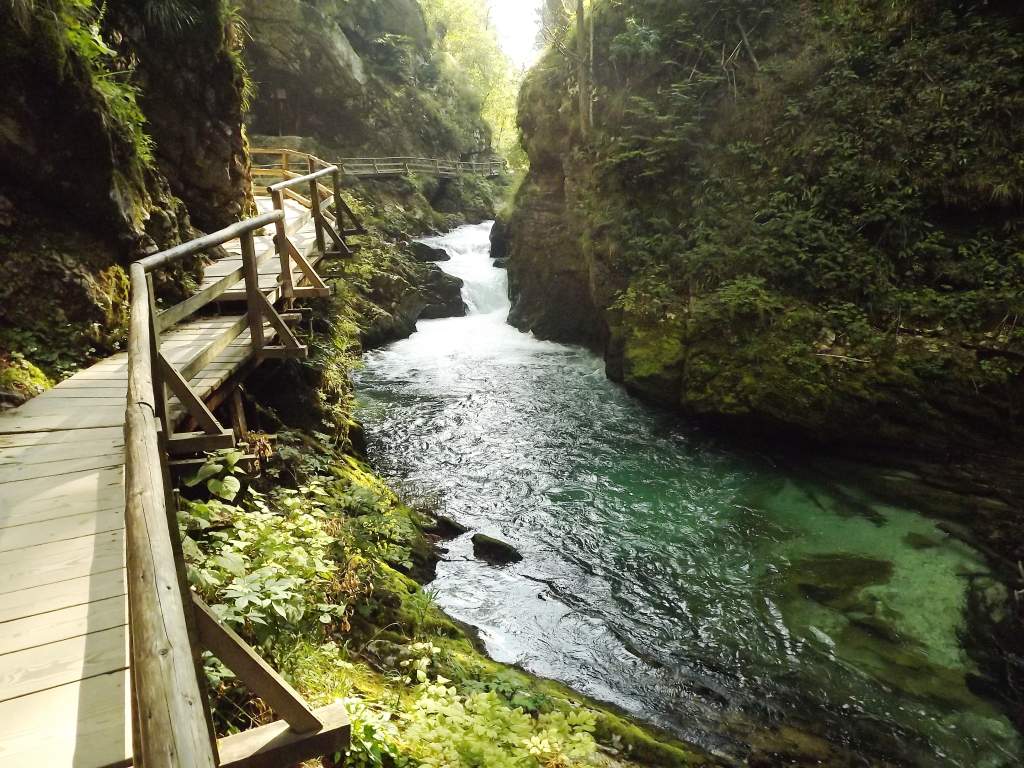 763 / DSCF9696.JPG DSCF9696.JPG