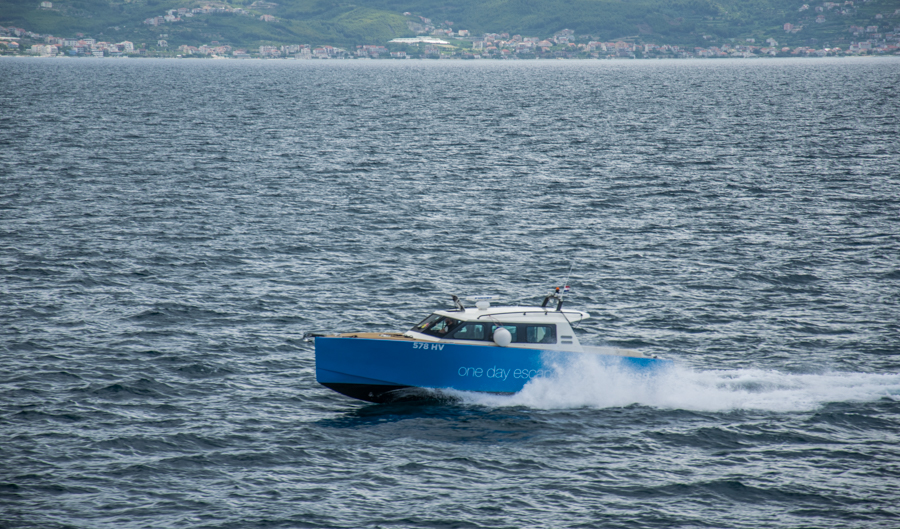 kto pierwszy? / DSC_6370.jpg DSC_6370.jpg