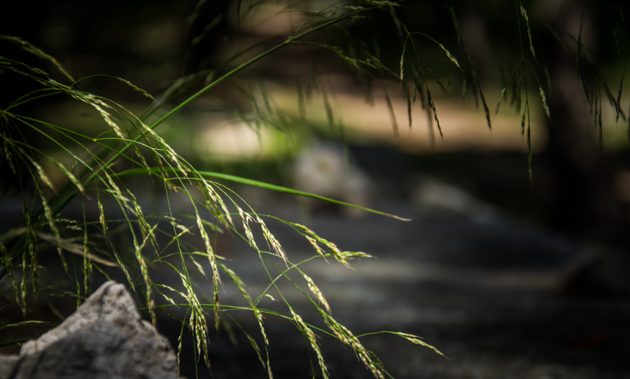 Cisza... / DSC_6475.jpg DSC_6475.jpg