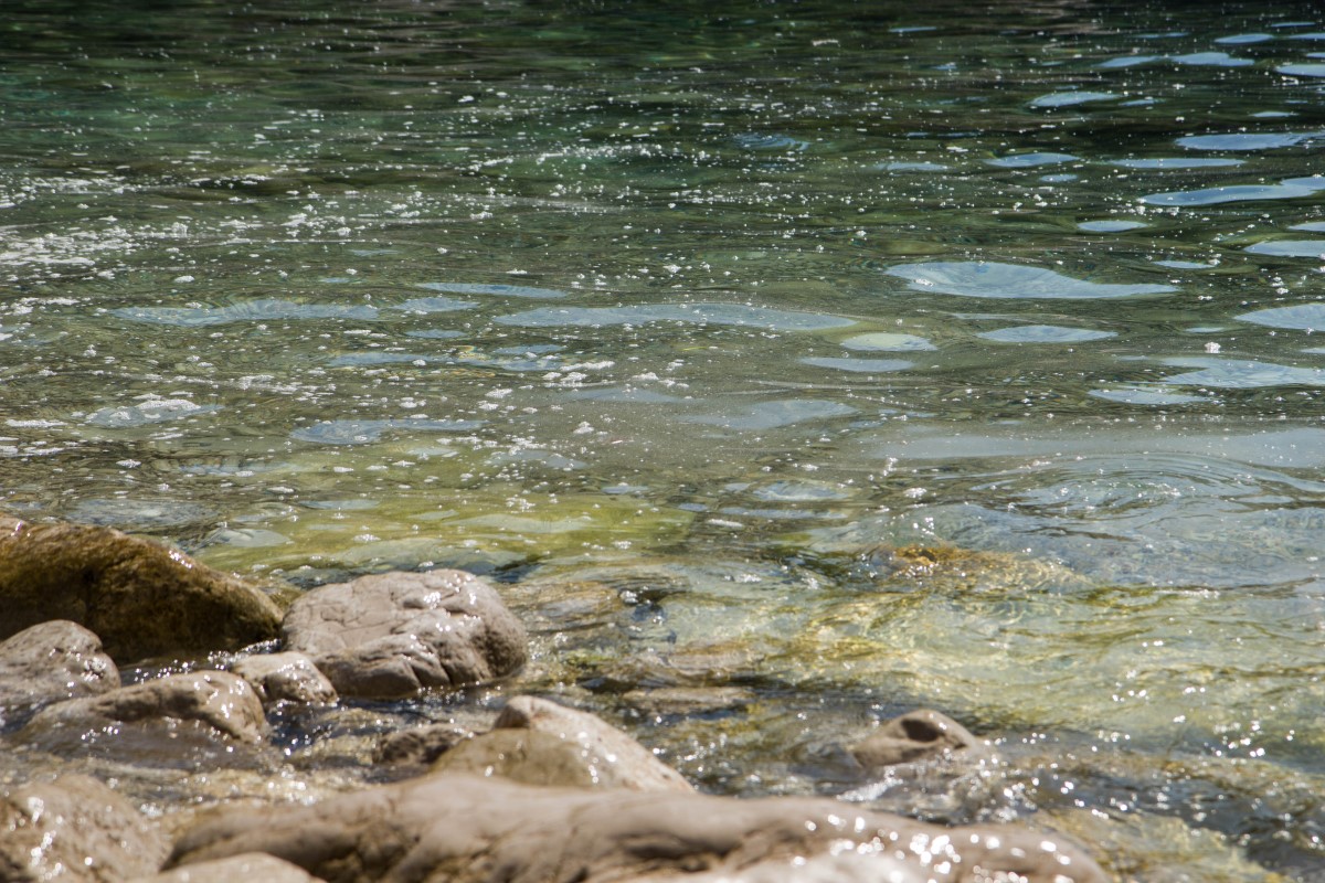 A tak woda w Bačvie wyglądała w roku 2016. / 03.jpg 03.jpg