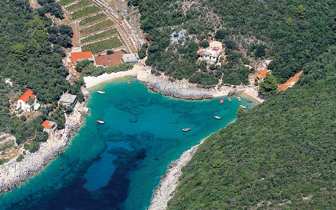 korcula-bay-vineyard.jpg