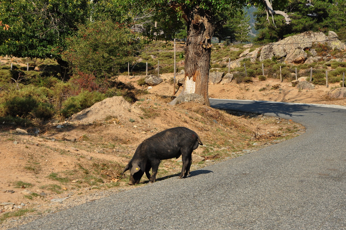 Wakacje2016 (2649).JPG