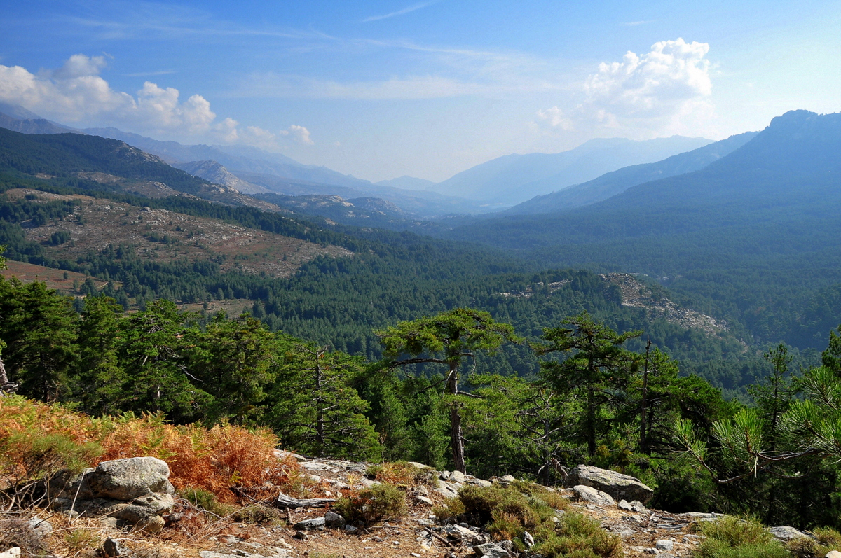 Wakacje2016 (2653).JPG