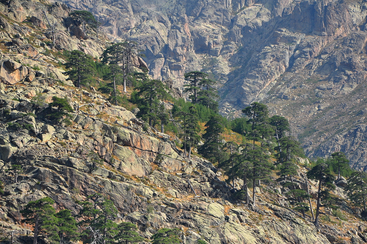 Wakacje2016 (2669).JPG