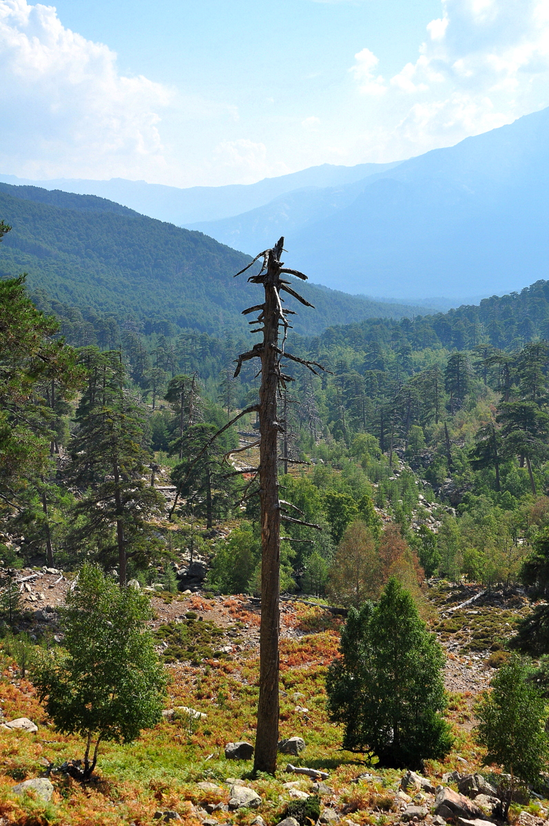 Wakacje2016 (2672).JPG