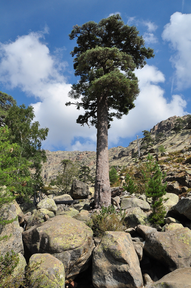 Wakacje2016 (2673).JPG