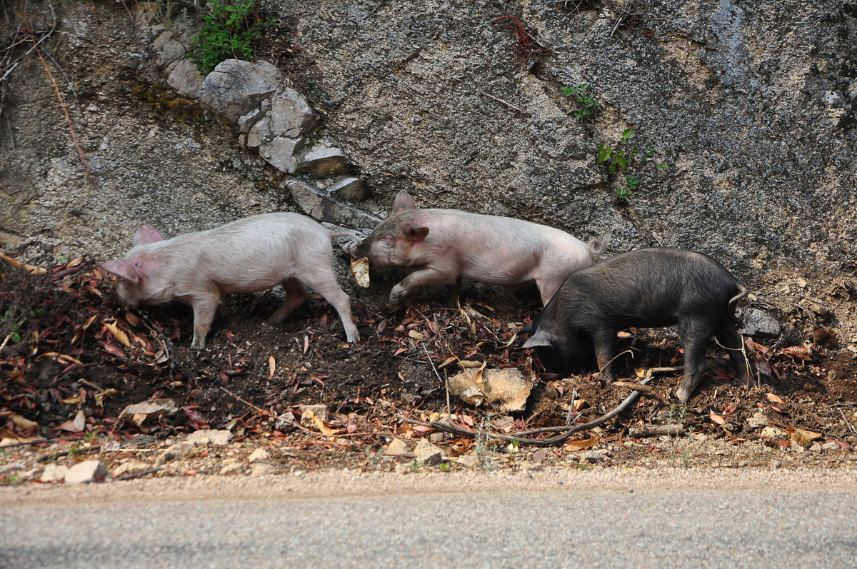 Wakacje2016 (2695).JPG