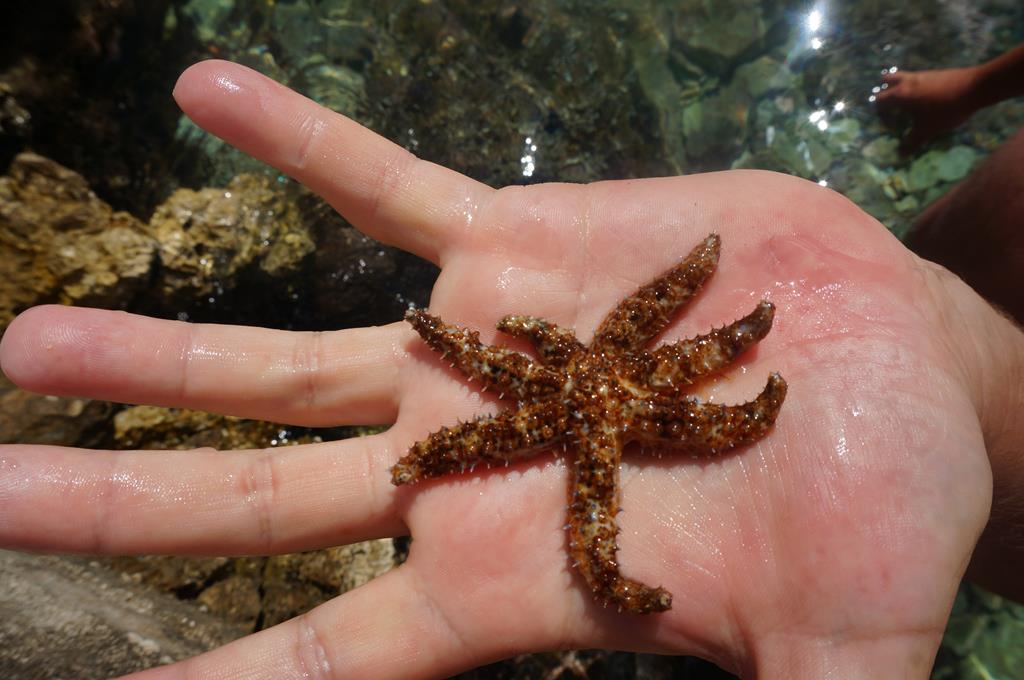 Razanj 895 (Copy).JPG