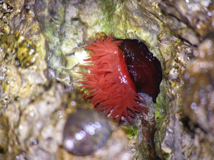 DSCF7919 — kopia.JPG