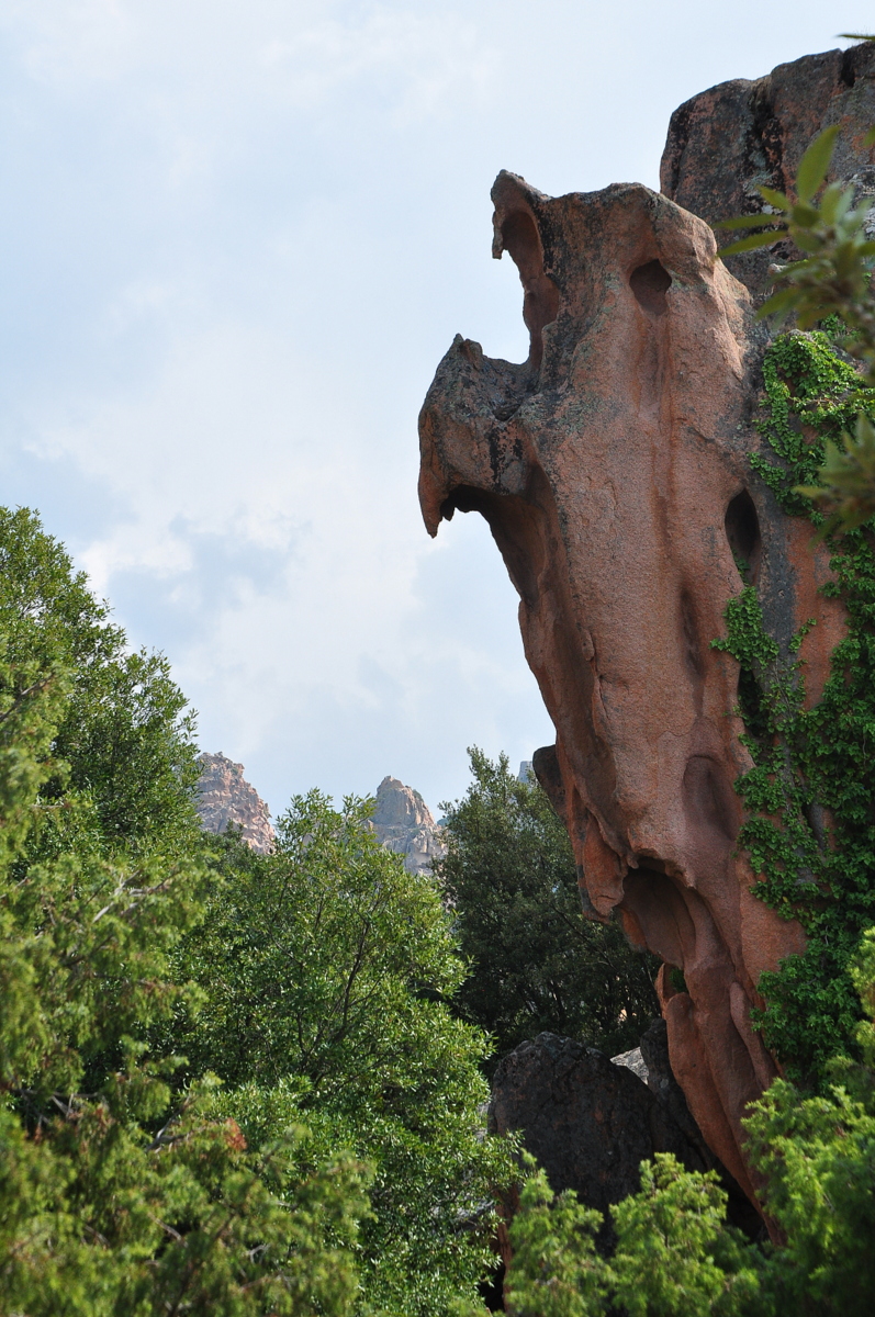 Wakacje2016 (2744).JPG