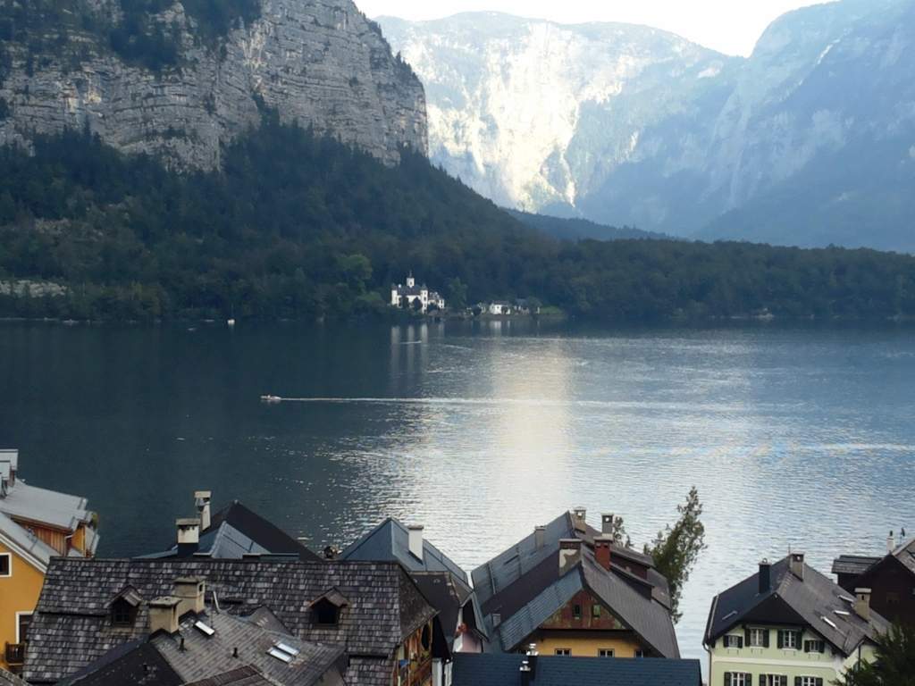 910 / 20160911_145139.jpg 20160911_145139.jpg