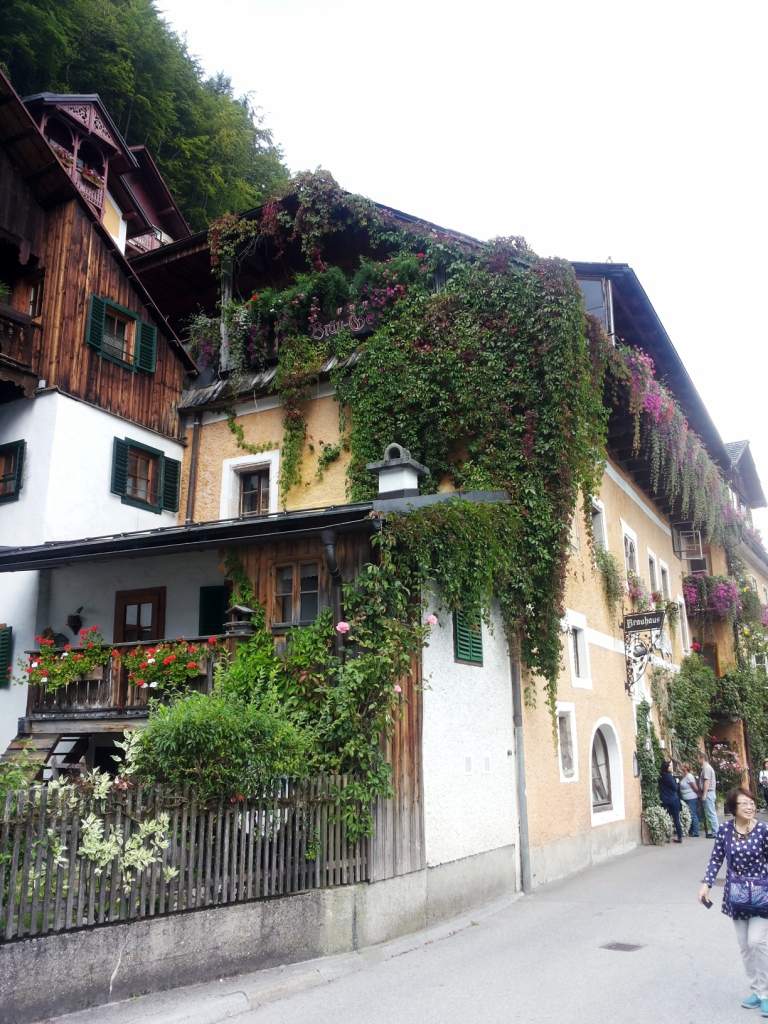 923 / 20160911_151456.jpg 20160911_151456.jpg