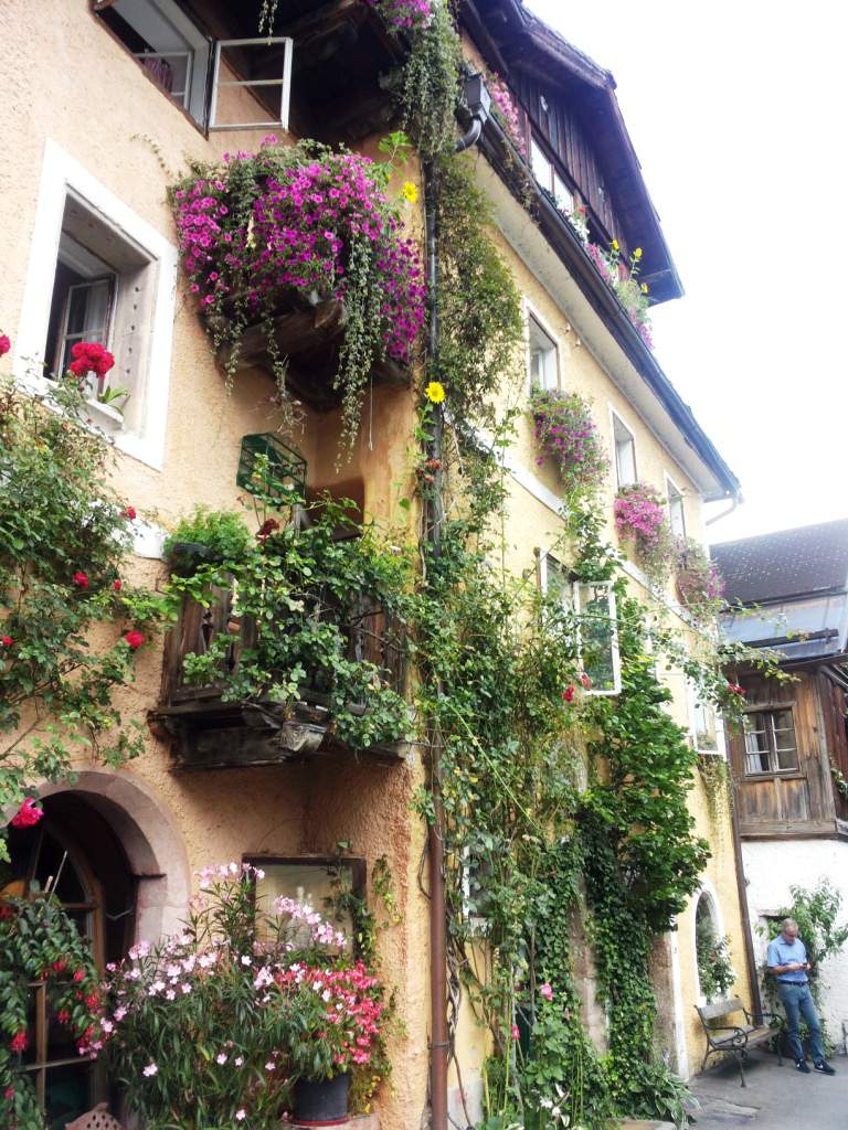 924 / 20160911_151517.jpg 20160911_151517.jpg