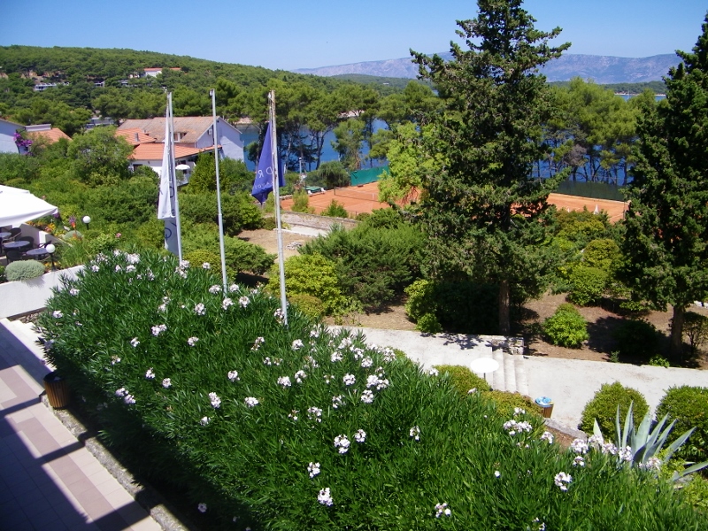 102_1189 (800x600).jpg