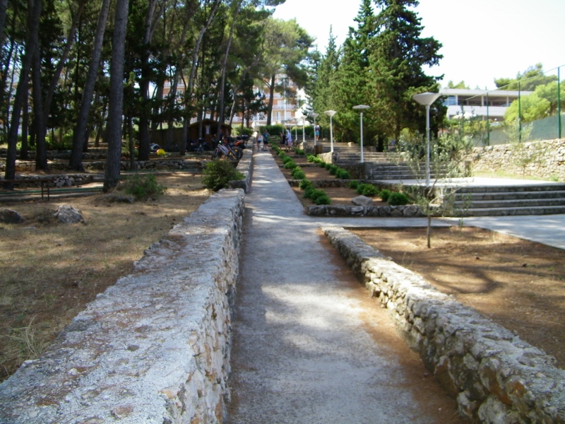 102_0862 (800x600).jpg