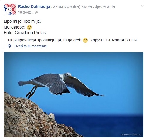 galeb.jpg