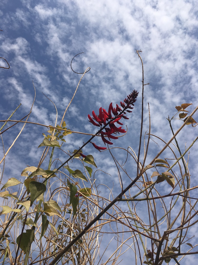 616 (Kopiowanie).JPG